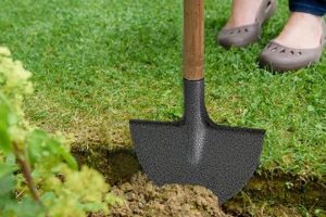 Best Garden Tools for Edging: Achieve Perfect Borders! | The Ultimate Gardening Guide: Grow a Thriving Garden Year-Round