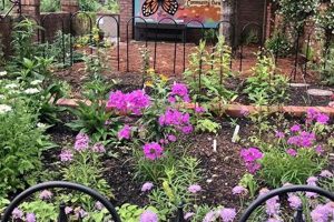 Explore Montgomery's Music Garden: A Musical Oasis! | The Ultimate Gardening Guide: Grow a Thriving Garden Year-Round
