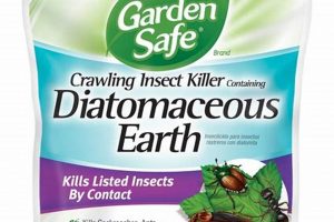Best Garden Safe Insect Killer: Eco-Friendly Pest Control | The Ultimate Gardening Guide: Grow a Thriving Garden Year-Round