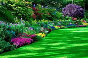 Shop Garden Wallpaper Now! Botanical Dreams Await | The Ultimate Gardening Guide: Grow a Thriving Garden Year-Round