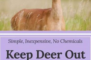 [Guide] How to Keep Deer Out of Your Vegetable Garden [Tips] | The Ultimate Gardening Guide: Grow a Thriving Garden Year-Round
