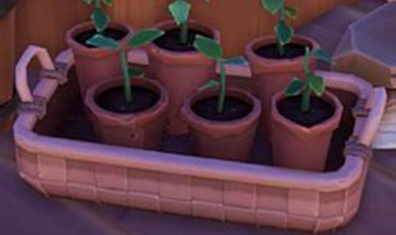 Grow Easy! Garden Variety Sprout Planter Palia Tips The Ultimate Gardening Guide: Grow a Thriving Garden Year-Round Grow Easy! Garden Variety Sprout Planter Palia Tips | The Ultimate Gardening Guide: Grow a Thriving Garden Year-Round