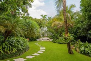 Your Dream: Grow a Caribbean Garden Oasis at Home The Ultimate Gardening Guide: Grow a Thriving Garden Year-Round Your Dream: Grow a Caribbean Garden Oasis at Home | The Ultimate Gardening Guide: Grow a Thriving Garden Year-Round