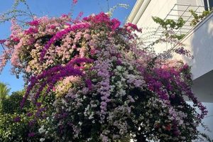 Design a Breathtaking Long Spring Garden Oasis The Ultimate Gardening Guide: Grow a Thriving Garden Year-Round Design a Breathtaking Long Spring Garden Oasis | The Ultimate Gardening Guide: Grow a Thriving Garden Year-Round