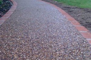 Resin Coated Dg For Garden Path The Ultimate Gardening Guide: Grow a Thriving Garden Year-Round Resin Coated Dg For Garden Path | The Ultimate Gardening Guide: Grow a Thriving Garden Year-Round