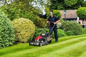 Professional Garden Service Near Me: Local Experts The Ultimate Gardening Guide: Grow a Thriving Garden Year-Round Professional Garden Service Near Me: Local Experts | The Ultimate Gardening Guide: Grow a Thriving Garden Year-Round