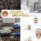 Grow Your Own: The Ultimate Mush Garden Guide | The Ultimate Gardening Guide: Grow a Thriving Garden Year-Round