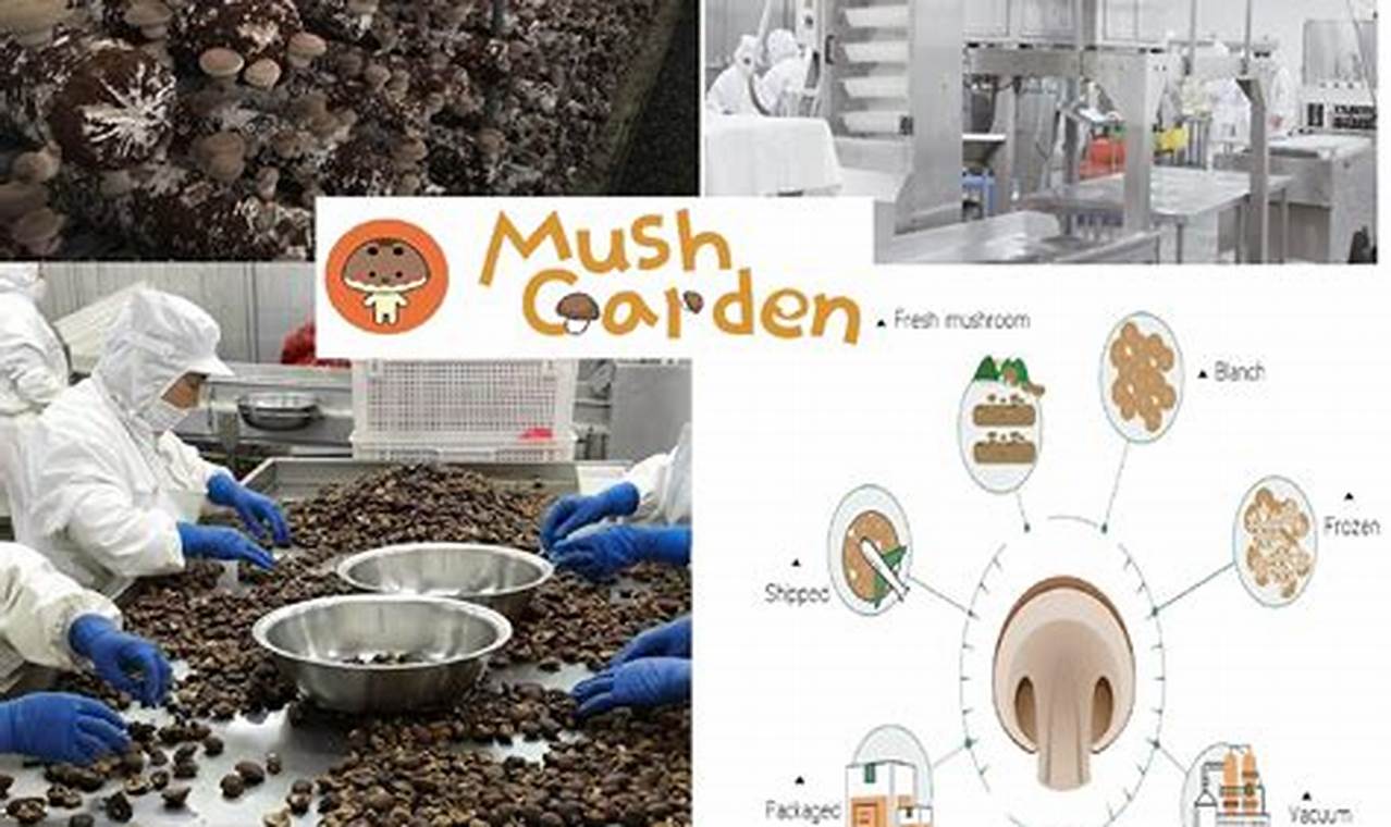 Grow Your Own: The Ultimate Mush Garden Guide The Ultimate Gardening Guide: Grow a Thriving Garden Year-Round Grow Your Own: The Ultimate Mush Garden Guide | The Ultimate Gardening Guide: Grow a Thriving Garden Year-Round