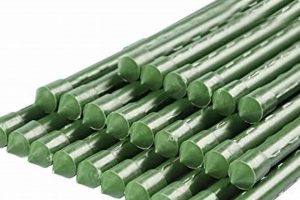 Boost Garden: 6 Foot Garden Stakes Guide & Uses The Ultimate Gardening Guide: Grow a Thriving Garden Year-Round Boost Garden: 6 Foot Garden Stakes Guide & Uses | The Ultimate Gardening Guide: Grow a Thriving Garden Year-Round