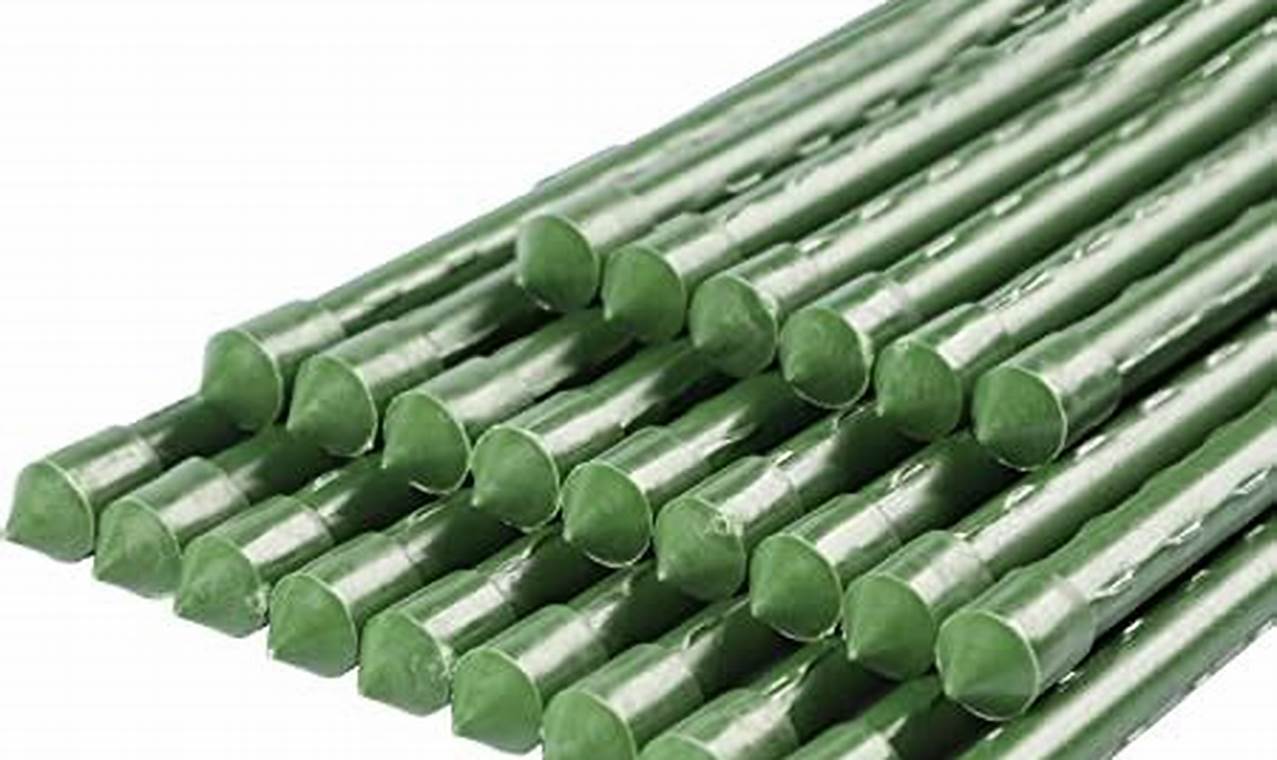 Boost Garden: 6 Foot Garden Stakes Guide & Uses The Ultimate Gardening Guide: Grow a Thriving Garden Year-Round Boost Garden: 6 Foot Garden Stakes Guide & Uses | The Ultimate Gardening Guide: Grow a Thriving Garden Year-Round