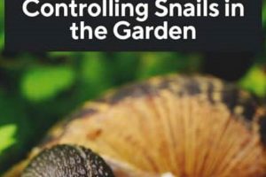 Easy Garden Snail Control: How to Get Rid of Snails! | The Ultimate Gardening Guide: Grow a Thriving Garden Year-Round