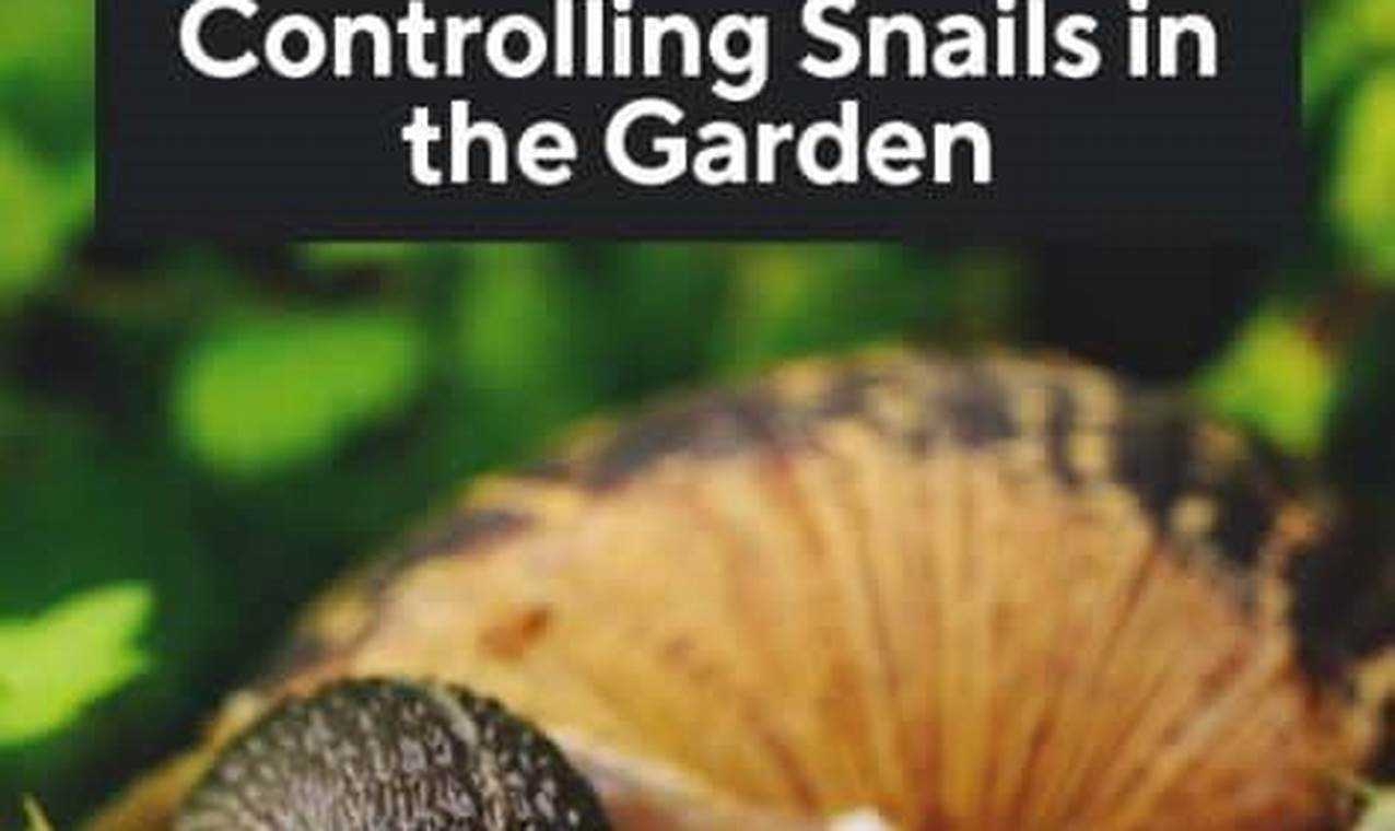Easy Garden Snail Control: How to Get Rid of Snails! The Ultimate Gardening Guide: Grow a Thriving Garden Year-Round Easy Garden Snail Control: How to Get Rid of Snails! | The Ultimate Gardening Guide: Grow a Thriving Garden Year-Round