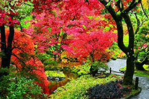 Guide: How to Get to Butchart Garden from Port Angeles, WA + Tips The Ultimate Gardening Guide: Grow a Thriving Garden Year-Round Guide: How to Get to Butchart Garden from Port Angeles, WA + Tips | The Ultimate Gardening Guide: Grow a Thriving Garden Year-Round