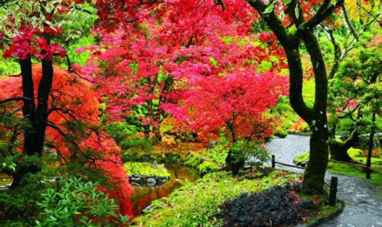 Guide: How to Get to Butchart Garden from Port Angeles, WA + Tips The Ultimate Gardening Guide: Grow a Thriving Garden Year-Round Guide: How to Get to Butchart Garden from Port Angeles, WA + Tips | The Ultimate Gardening Guide: Grow a Thriving Garden Year-Round