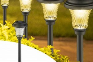 Illuminate Your Garden: Solar Powered Garden Stakes Guide The Ultimate Gardening Guide: Grow a Thriving Garden Year-Round Illuminate Your Garden: Solar Powered Garden Stakes Guide | The Ultimate Gardening Guide: Grow a Thriving Garden Year-Round
