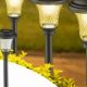 Illuminate Your Garden: Solar Powered Garden Stakes Guide | The Ultimate Gardening Guide: Grow a Thriving Garden Year-Round