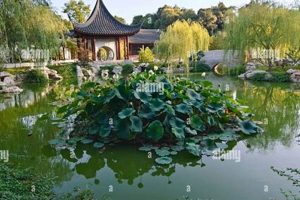 Explore: Huntington Library Chinese Garden Oasis The Ultimate Gardening Guide: Grow a Thriving Garden Year-Round Explore: Huntington Library Chinese Garden Oasis | The Ultimate Gardening Guide: Grow a Thriving Garden Year-Round