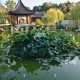 Explore: Huntington Library Chinese Garden Oasis | The Ultimate Gardening Guide: Grow a Thriving Garden Year-Round