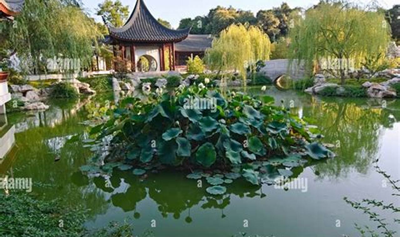 Explore: Huntington Library Chinese Garden Oasis The Ultimate Gardening Guide: Grow a Thriving Garden Year-Round Explore: Huntington Library Chinese Garden Oasis | The Ultimate Gardening Guide: Grow a Thriving Garden Year-Round
