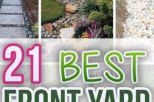Ditch Rain Gardens: Pros, Cons, & How-To Guide The Ultimate Gardening Guide: Grow a Thriving Garden Year-Round Ditch Rain Gardens: Pros, Cons, & How-To Guide | The Ultimate Gardening Guide: Grow a Thriving Garden Year-Round
