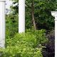 Elevate Gardens with Garden Columns: Styles & Ideas | The Ultimate Gardening Guide: Grow a Thriving Garden Year-Round