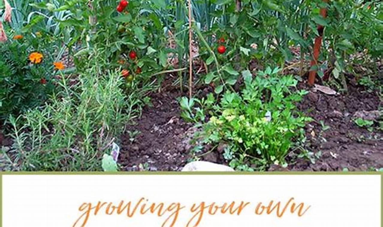 Essential Survival Garden: Food Security in Your Backyard The Ultimate Gardening Guide: Grow a Thriving Garden Year-Round Essential Survival Garden: Food Security in Your Backyard | The Ultimate Gardening Guide: Grow a Thriving Garden Year-Round