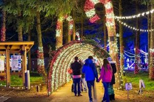 Illuminate Your Garden: Oregon Garden Lights & More! The Ultimate Gardening Guide: Grow a Thriving Garden Year-Round Illuminate Your Garden: Oregon Garden Lights & More! | The Ultimate Gardening Guide: Grow a Thriving Garden Year-Round