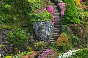 Create Your Beauty Garden Oasis: Design & Tips The Ultimate Gardening Guide: Grow a Thriving Garden Year-Round Create Your Beauty Garden Oasis: Design & Tips | The Ultimate Gardening Guide: Grow a Thriving Garden Year-Round