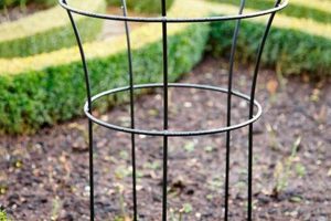 Best Garden Plant Supports: Grow Smarter! The Ultimate Gardening Guide: Grow a Thriving Garden Year-Round Best Garden Plant Supports: Grow Smarter! | The Ultimate Gardening Guide: Grow a Thriving Garden Year-Round