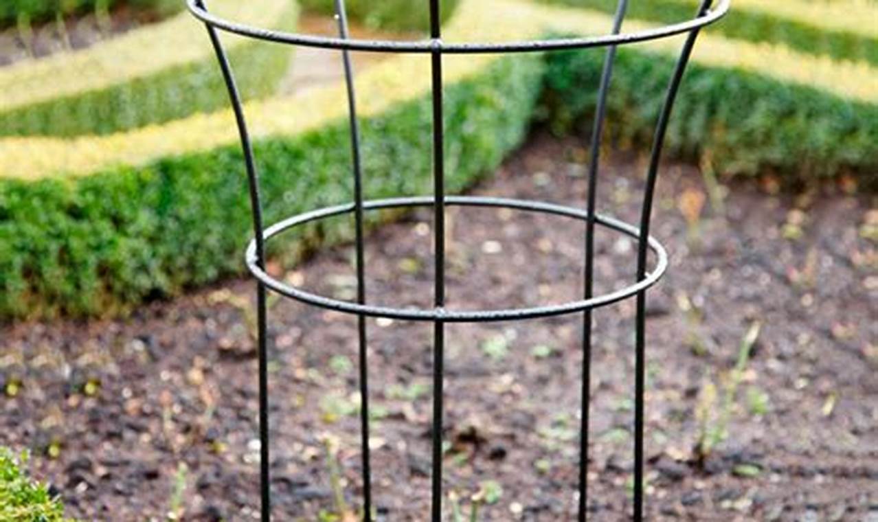 Best Garden Plant Supports: Grow Smarter! The Ultimate Gardening Guide: Grow a Thriving Garden Year-Round Best Garden Plant Supports: Grow Smarter! | The Ultimate Gardening Guide: Grow a Thriving Garden Year-Round