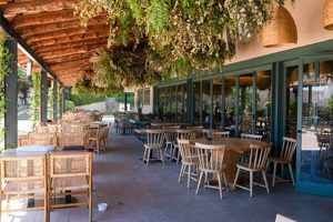 Your Dream Garden Pizzeria: Menu, Decor & More The Ultimate Gardening Guide: Grow a Thriving Garden Year-Round Your Dream Garden Pizzeria: Menu, Decor & More | The Ultimate Gardening Guide: Grow a Thriving Garden Year-Round