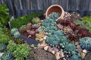 Easy Succulent Rock Garden Ideas: A Stunning Garden Oasis The Ultimate Gardening Guide: Grow a Thriving Garden Year-Round Easy Succulent Rock Garden Ideas: A Stunning Garden Oasis | The Ultimate Gardening Guide: Grow a Thriving Garden Year-Round
