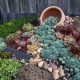 Easy Succulent Rock Garden Ideas: A Stunning Garden Oasis | The Ultimate Gardening Guide: Grow a Thriving Garden Year-Round
