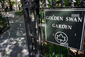 Serene Golden Swan Garden: A Backyard Paradise The Ultimate Gardening Guide: Grow a Thriving Garden Year-Round Serene Golden Swan Garden: A Backyard Paradise | The Ultimate Gardening Guide: Grow a Thriving Garden Year-Round