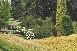 Explore Private Gardens: Garden Conservancy Open Days Near You The Ultimate Gardening Guide: Grow a Thriving Garden Year-Round Explore Private Gardens: Garden Conservancy Open Days Near You | The Ultimate Gardening Guide: Grow a Thriving Garden Year-Round