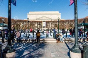 DC Ice Rink Sculpture Garden: Art on Ice in DC! | The Ultimate Gardening Guide: Grow a Thriving Garden Year-Round
