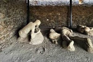 Find Your Garden of Fugitives + Guide & Tips The Ultimate Gardening Guide: Grow a Thriving Garden Year-Round Find Your Garden of Fugitives + Guide & Tips | The Ultimate Gardening Guide: Grow a Thriving Garden Year-Round