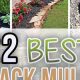 Grow Better: Black Mulch Garden Benefits & Tips Today! | The Ultimate Gardening Guide: Grow a Thriving Garden Year-Round