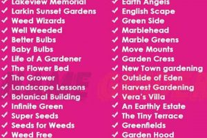 Unique Names for a Garden: Design Ideas & More! | The Ultimate Gardening Guide: Grow a Thriving Garden Year-Round