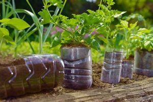 Eco-Friendly Plastic on Garden Use? Tips & Alternatives The Ultimate Gardening Guide: Grow a Thriving Garden Year-Round Eco-Friendly Plastic on Garden Use? Tips & Alternatives | The Ultimate Gardening Guide: Grow a Thriving Garden Year-Round