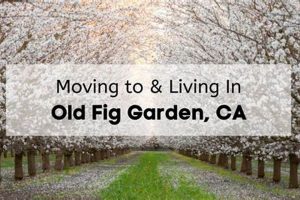 Discover Fig Garden California: Oasis Living! The Ultimate Gardening Guide: Grow a Thriving Garden Year-Round Discover Fig Garden California: Oasis Living! | The Ultimate Gardening Guide: Grow a Thriving Garden Year-Round