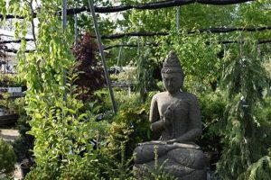 Rosies Garden The Ultimate Gardening Guide: Grow a Thriving Garden Year-Round Rosies Garden | The Ultimate Gardening Guide: Grow a Thriving Garden Year-Round