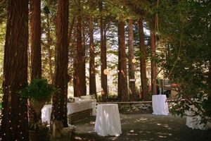 Discover Secret Garden Bodega Bay: A Coastal Haven The Ultimate Gardening Guide: Grow a Thriving Garden Year-Round Discover Secret Garden Bodega Bay: A Coastal Haven | The Ultimate Gardening Guide: Grow a Thriving Garden Year-Round