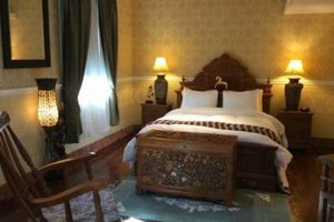 Find Ideal Dover Garden Suites: Explore & Book Today! | The Ultimate Gardening Guide: Grow a Thriving Garden Year-Round