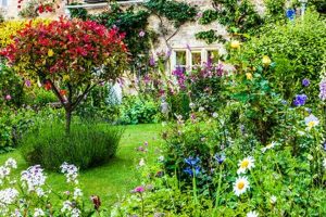 Best English Garden Plants: Design Ideas & More | The Ultimate Gardening Guide: Grow a Thriving Garden Year-Round