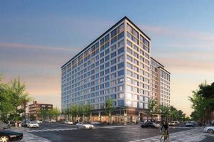 Your Spring Garden Hudson Guide: Blooms & Beyond | The Ultimate Gardening Guide: Grow a Thriving Garden Year-Round