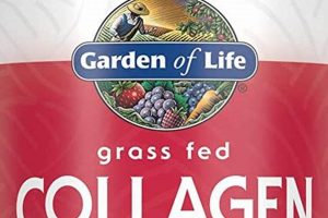 Read Before You Buy: Garden of Life Collagen Reviews 2024 The Ultimate Gardening Guide: Grow a Thriving Garden Year-Round Read Before You Buy: Garden of Life Collagen Reviews 2024 | The Ultimate Gardening Guide: Grow a Thriving Garden Year-Round