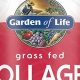 Read Before You Buy: Garden of Life Collagen Reviews 2024 | The Ultimate Gardening Guide: Grow a Thriving Garden Year-Round