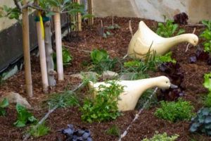 Your Ultimate Foodie Garden Guide: Grow Delicious! | The Ultimate Gardening Guide: Grow a Thriving Garden Year-Round