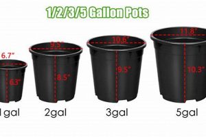 Best 3 Gallon Garden Pots: Your Garden Success! | The Ultimate Gardening Guide: Grow a Thriving Garden Year-Round